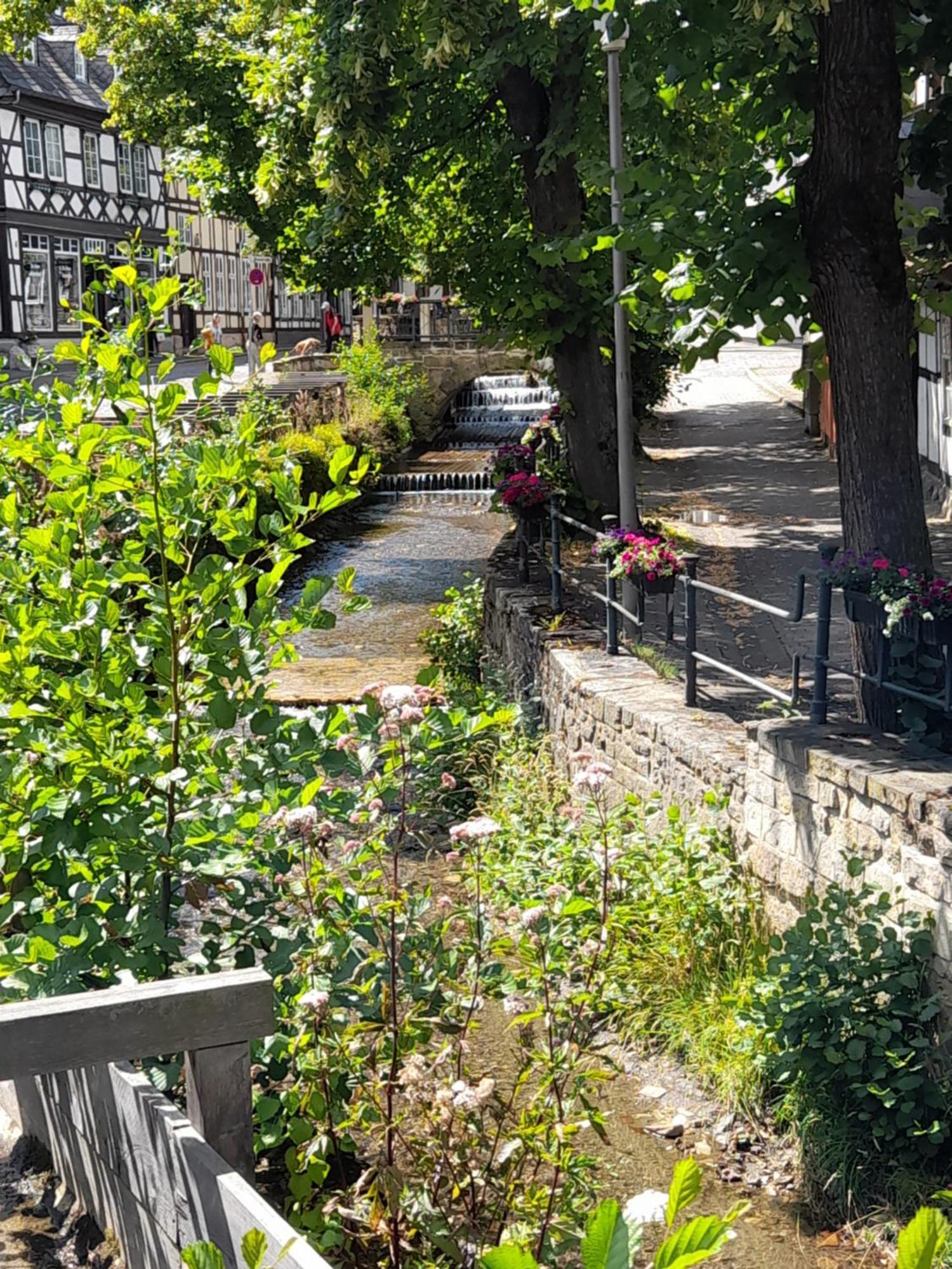 Ferienwohnung "Beste Lage" Altstadt Mit Terrasse Goslar Extérieur photo