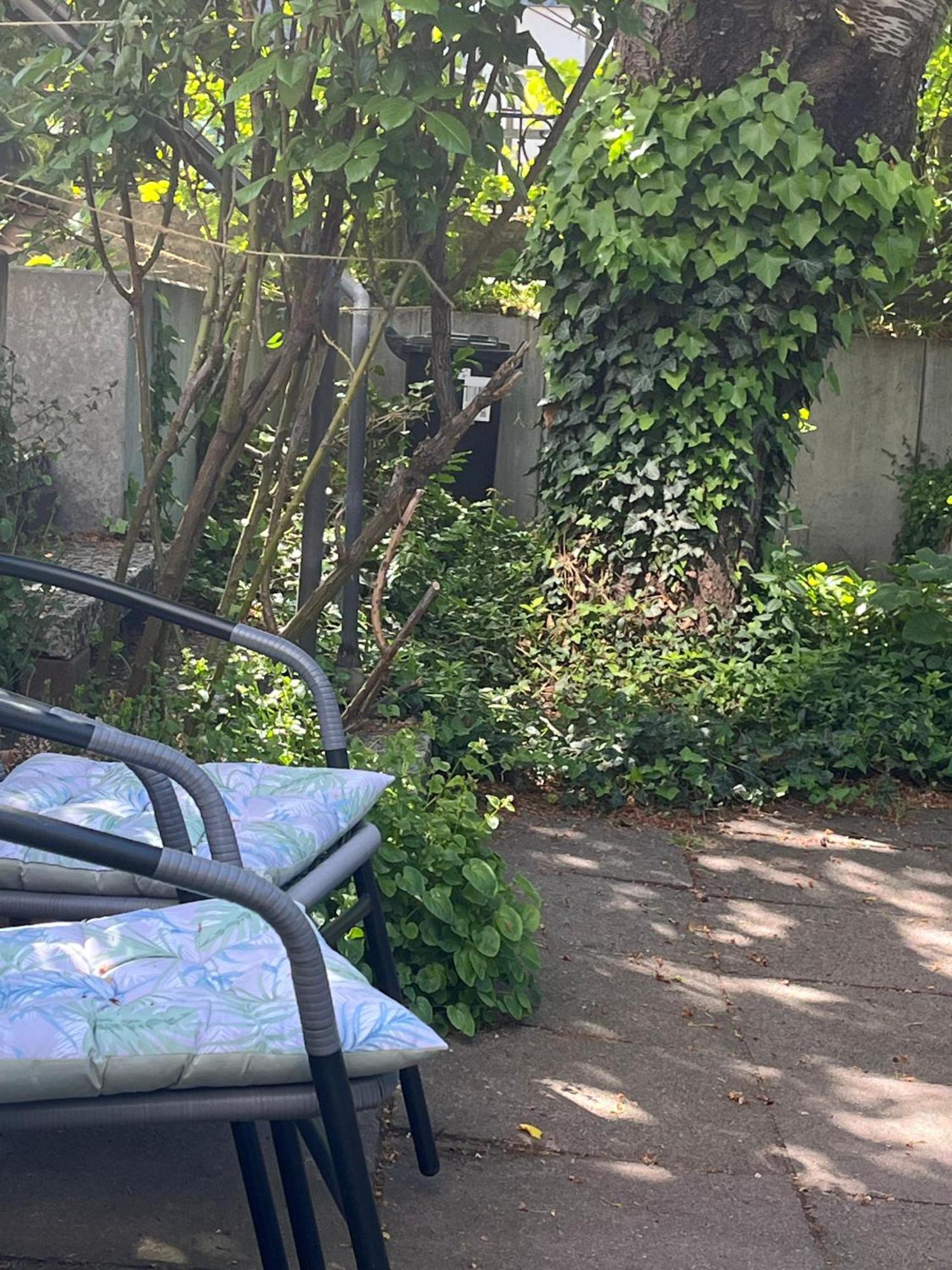 Ferienwohnung "Beste Lage" Altstadt Mit Terrasse Goslar Extérieur photo